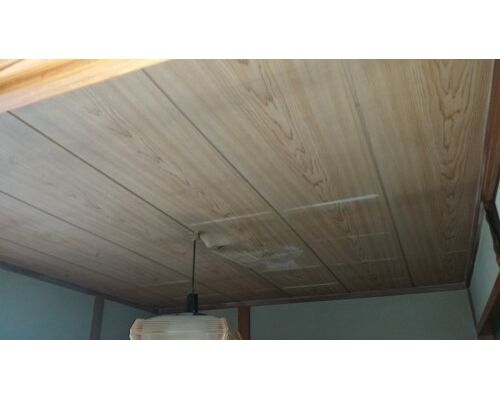 20150612_074951-500x281