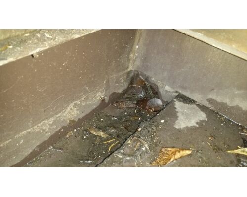 20150604_103927-500x281