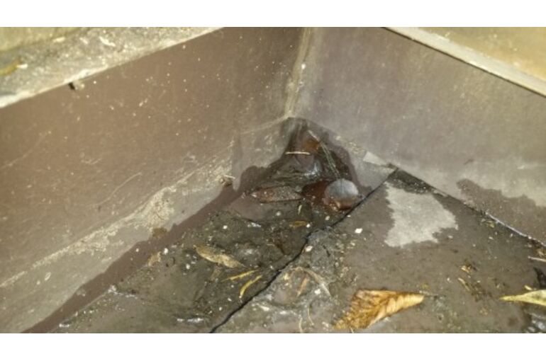 20150604_103927-500x281