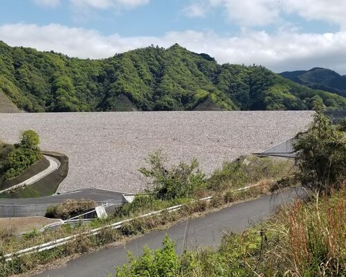 瑕疵保険