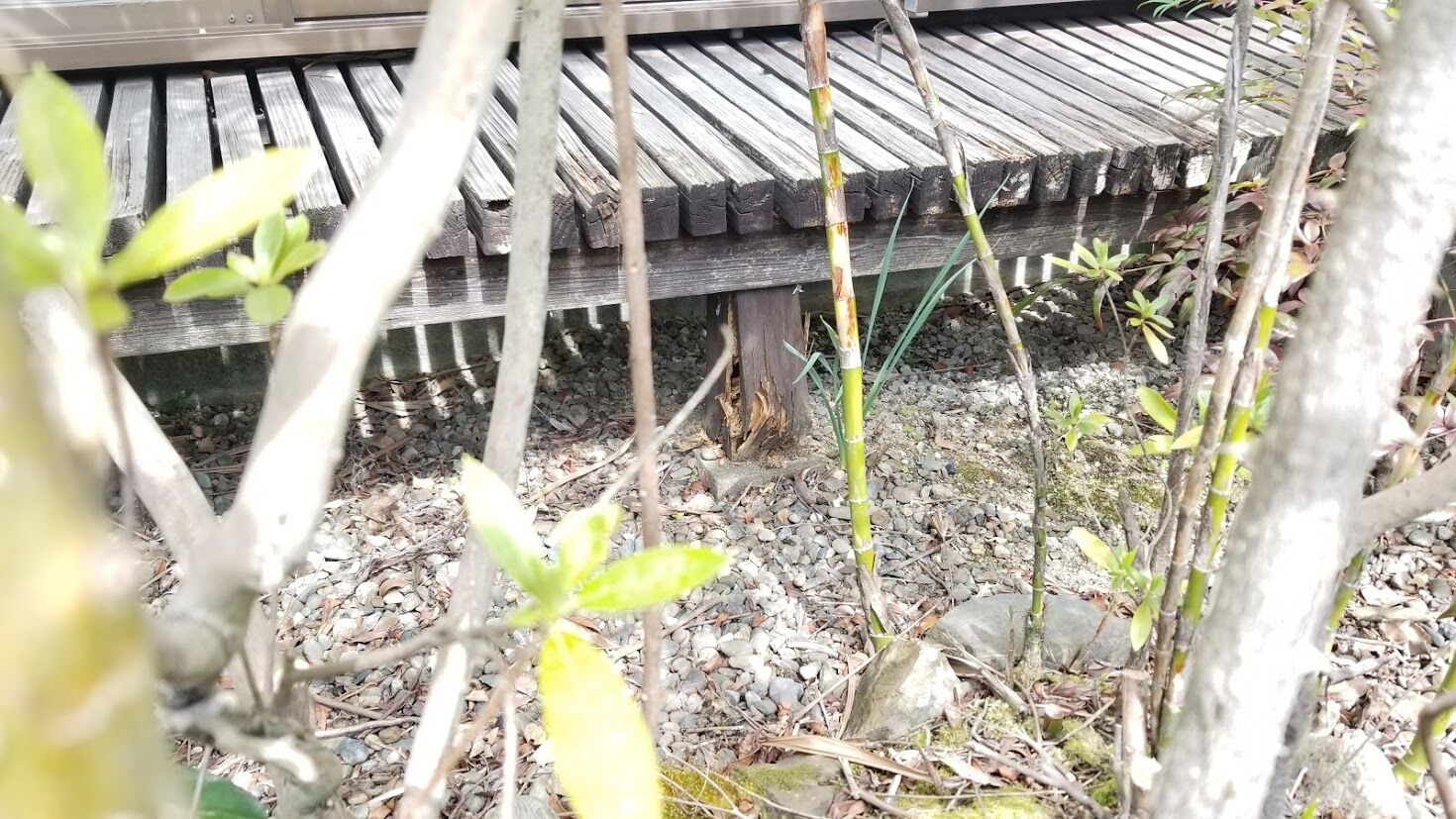 濡れ縁