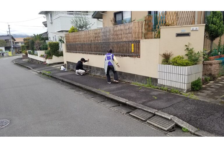 草むしり